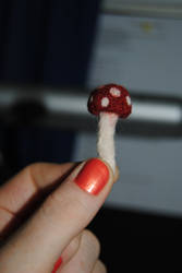 Amanita