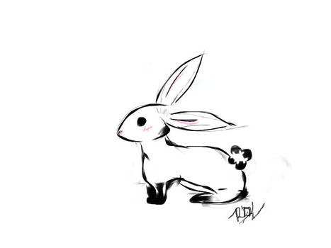 Bunny