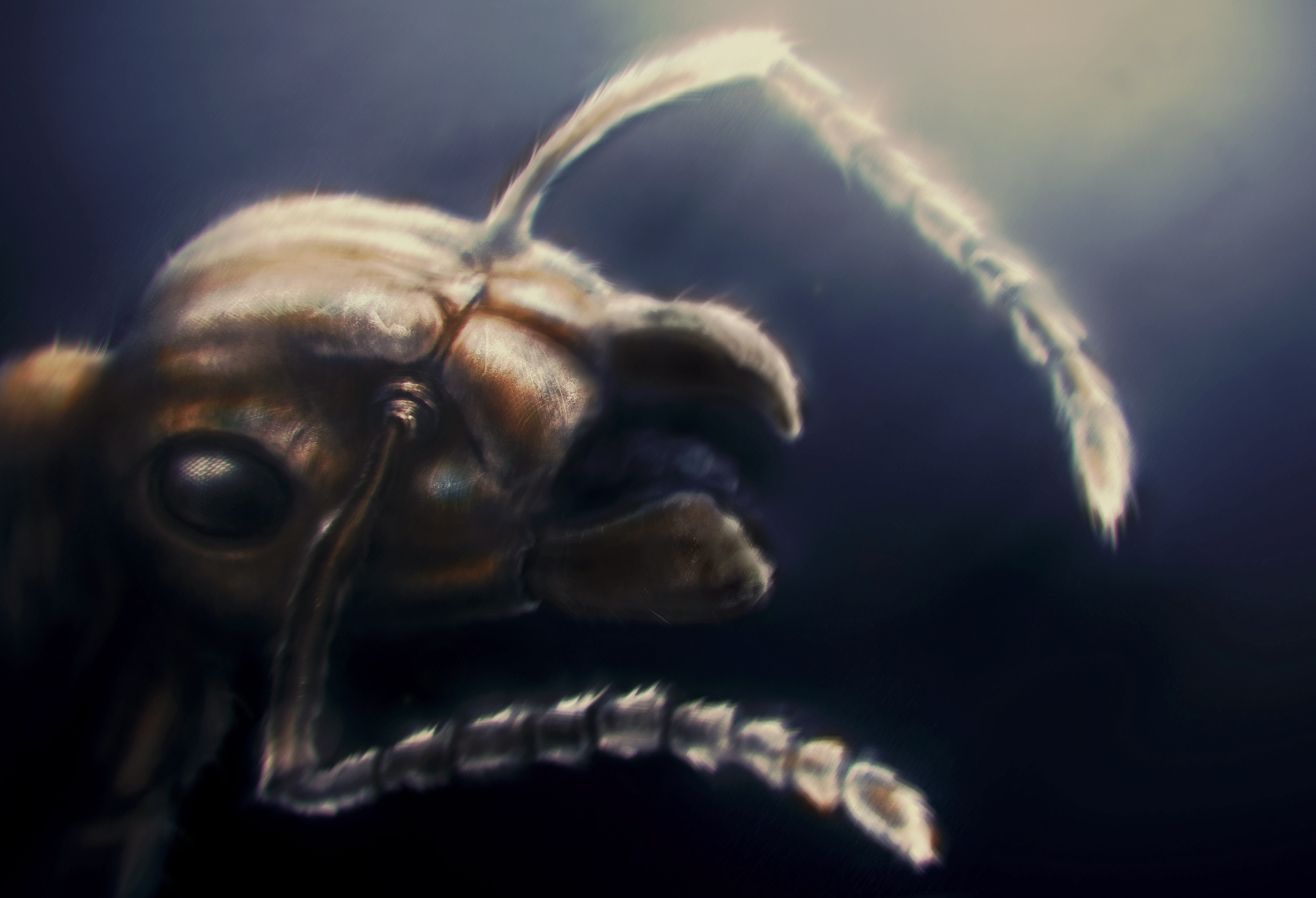 Gold-Digging Ant by BangBooDoragon on DeviantArt