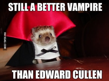 Still a better Vampire