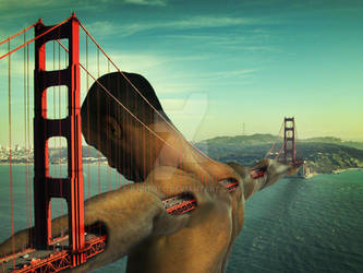 Golden gate man