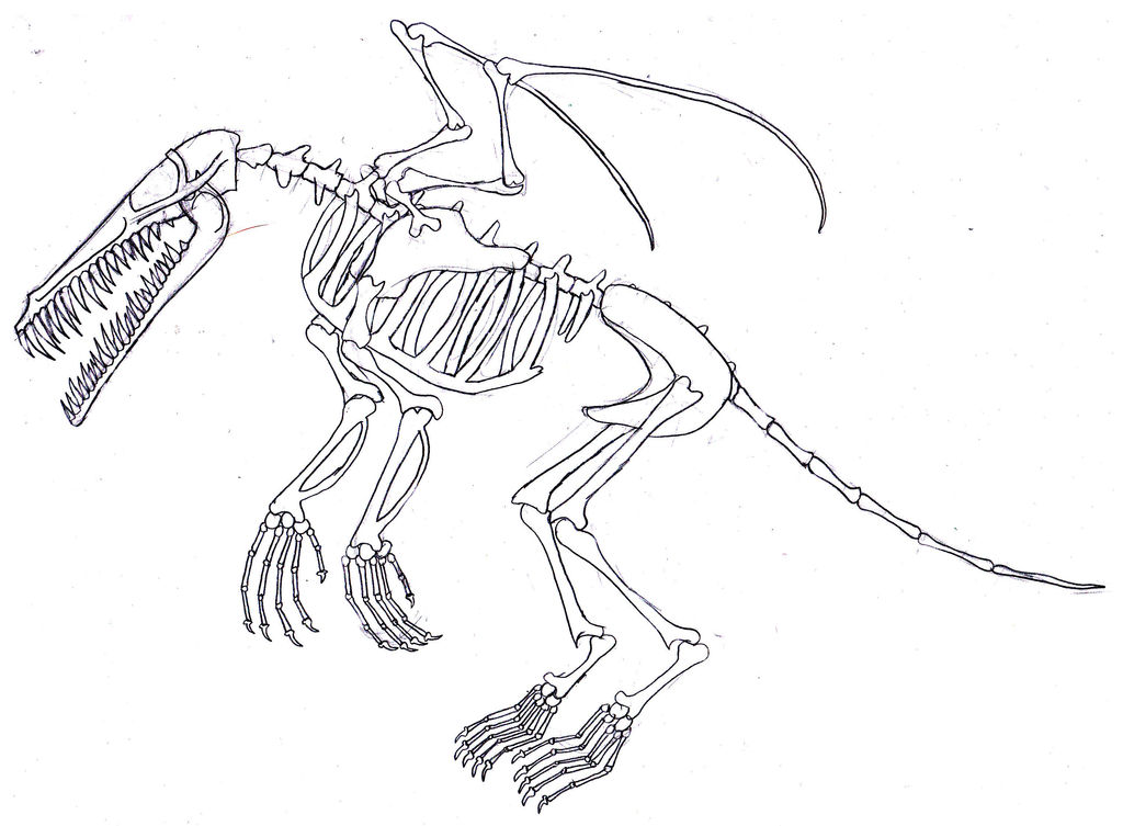 Creature Skeleton by TheGmodGirl on DeviantArt