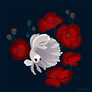 Bettas and Poppies