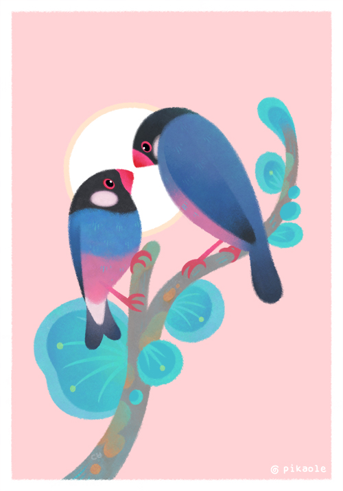 Java Sparrows by pikaole on DeviantArt