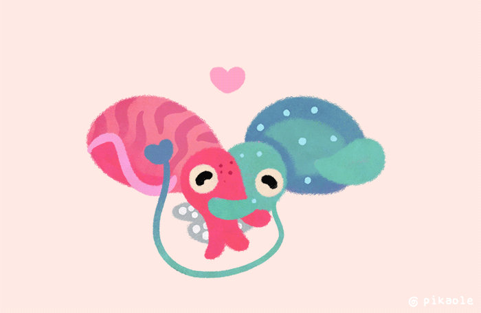 Cuddlefish by pikaole on DeviantArt