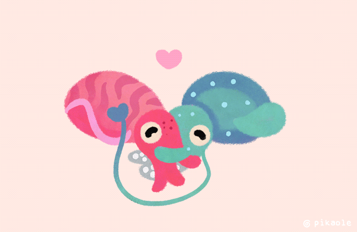 Cuddlefish by pikaole on DeviantArt