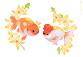 Ranchu and Forsythias