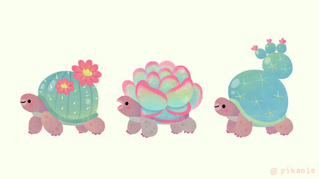 Cactus tortoise