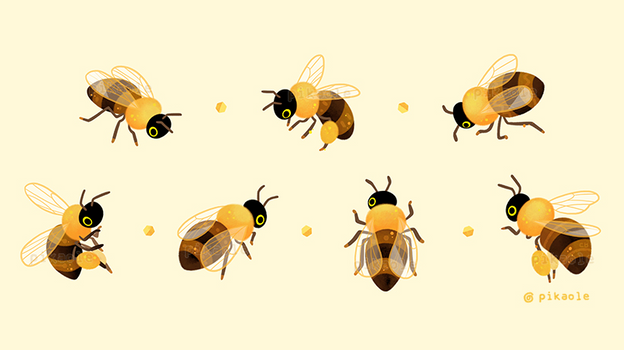 Honey bees