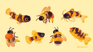 Bumblebee and fish