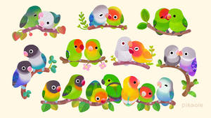 Lovebird