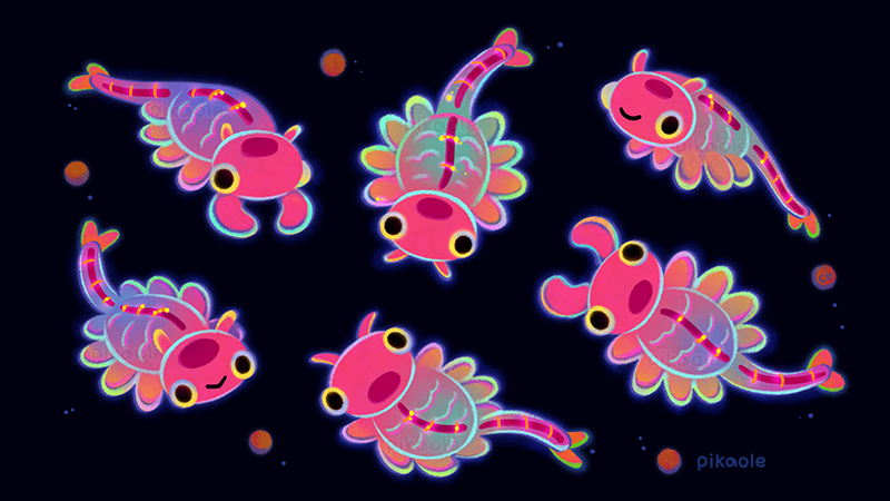 Fairy shrimp by pikaole on DeviantArt