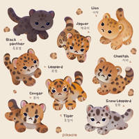 The year of big cat cubs
