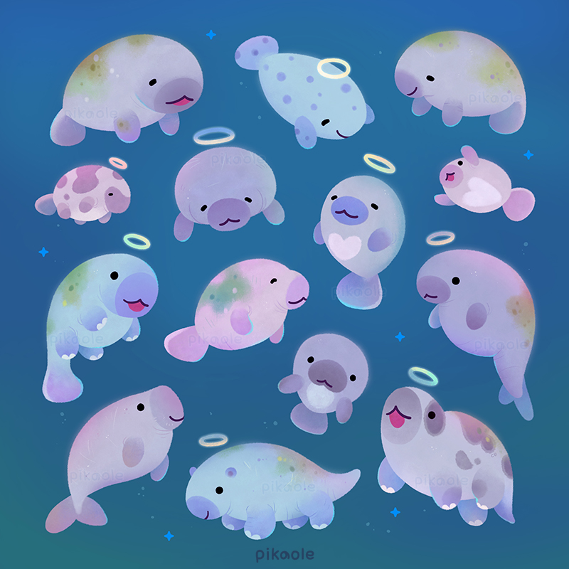 Sea cow (Sirenians) by pikaole on DeviantArt