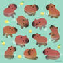 Capybath time