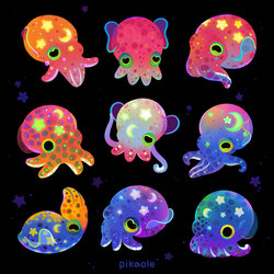 Bobtail squid