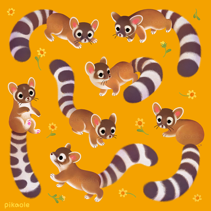 Deviantart Ringtail Ringtail by pikaole on DeviantArt
