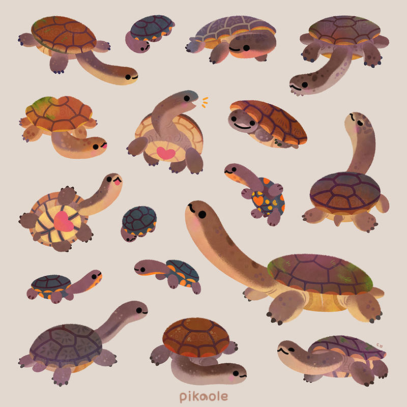 Snake-necked turtle by pikaole on DeviantArt