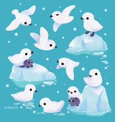 Snow petrel