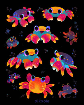 Sally lightfoot crab