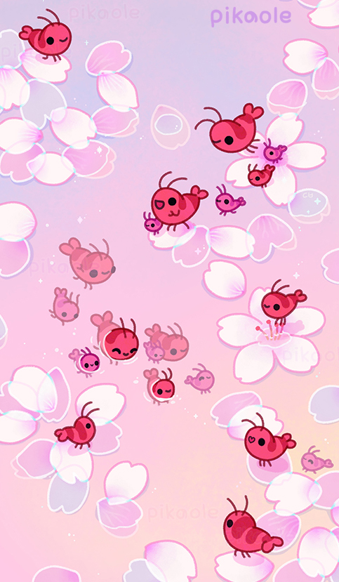 Cherry blossom shrimp