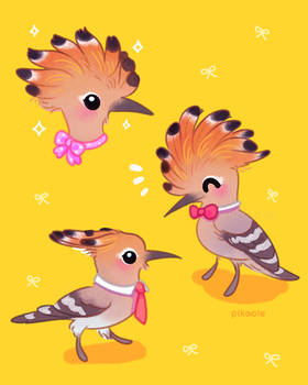 Hoopoe with bow tie
