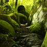 Mossy Trail Speedpainting