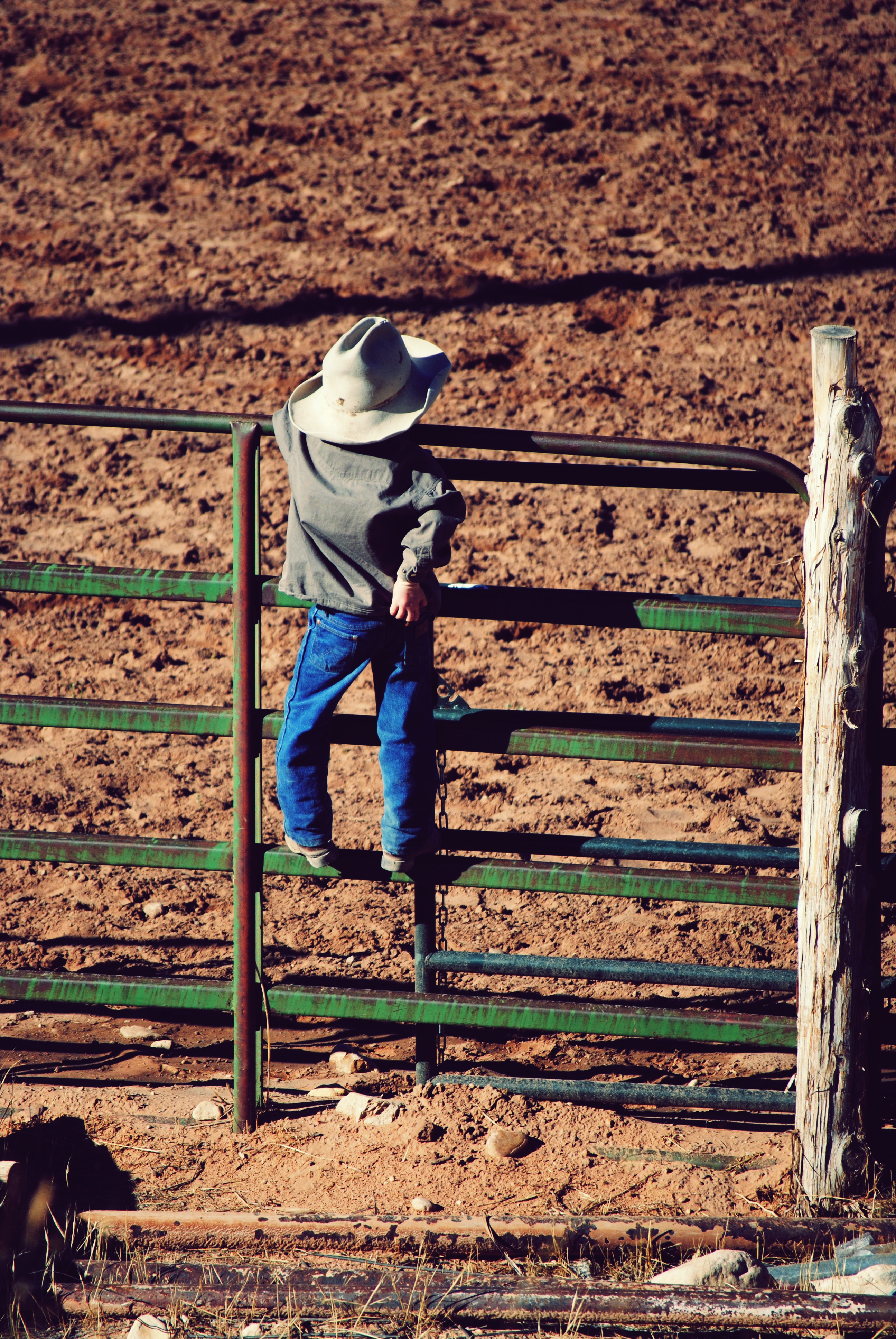 Little Cowboy