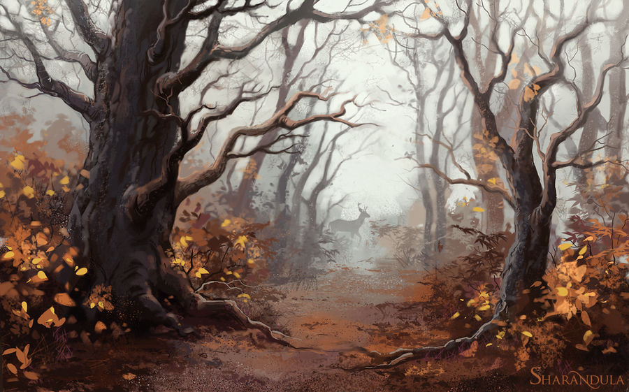 forest by sharandula on DeviantArt