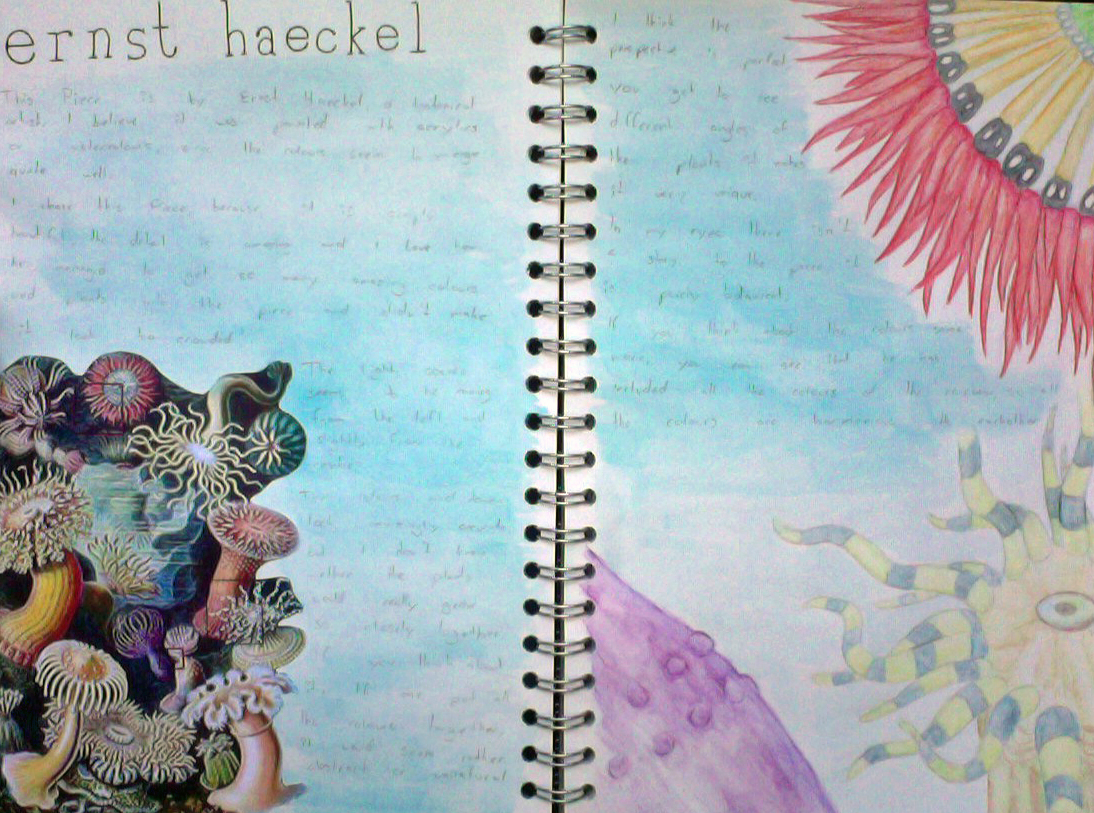 Art Coursework ~ Ernst Haeckel