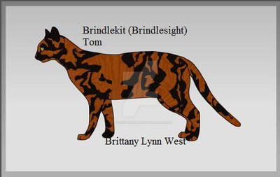 Brindlekit Brindlekit by Goddess-Nightmare on DeviantArt