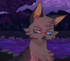 Ashfur