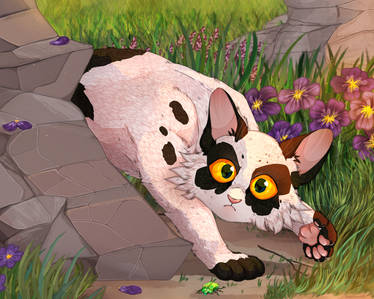 Violetkit Explore the Best Violetpaw Art | DeviantArt