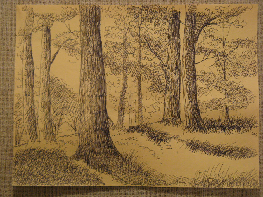 Tree Sharpie Drawing Sharpie trees by GerryNotJ on DeviantArt