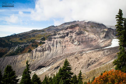 Mt. Rainier