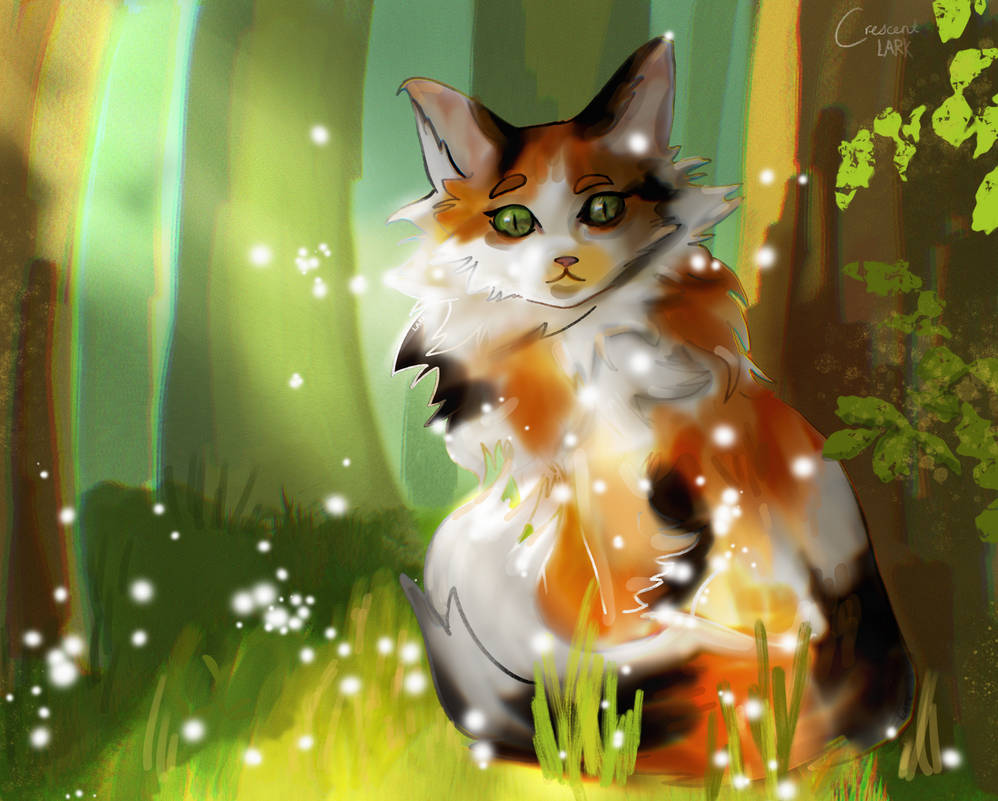 Calico Colorful Tale Sunlit Calico by CrescentLark on DeviantArt
