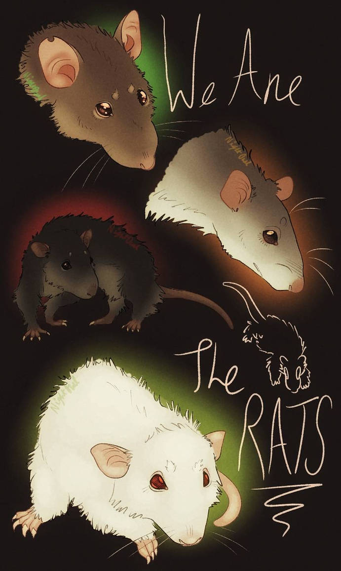 Rat Deviantart WE ARE THE RATS by OwlThatNestsLow on DeviantArt
