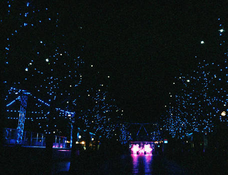 Avenue of Lights