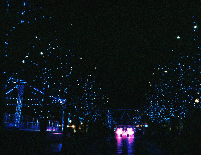 Avenue of Lights