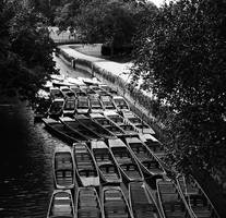 Oxford Boats