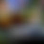 Vega Alpha 2 for Blender 4.1
