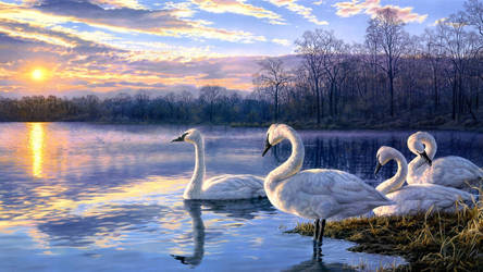 Swan lake