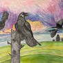 Crows take Flight