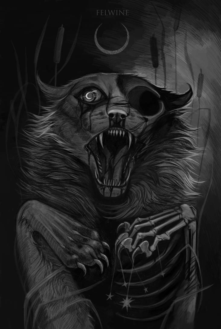 Rotting cat by Felwine on DeviantArt