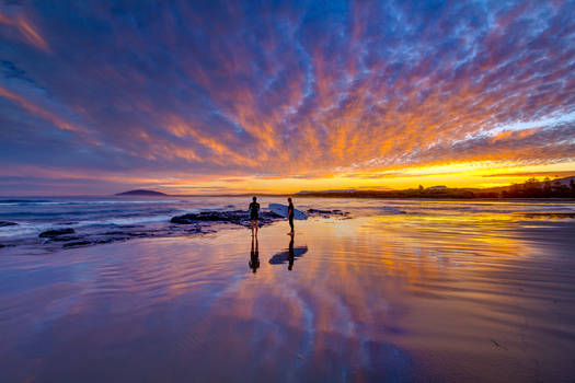 The Last Surfers