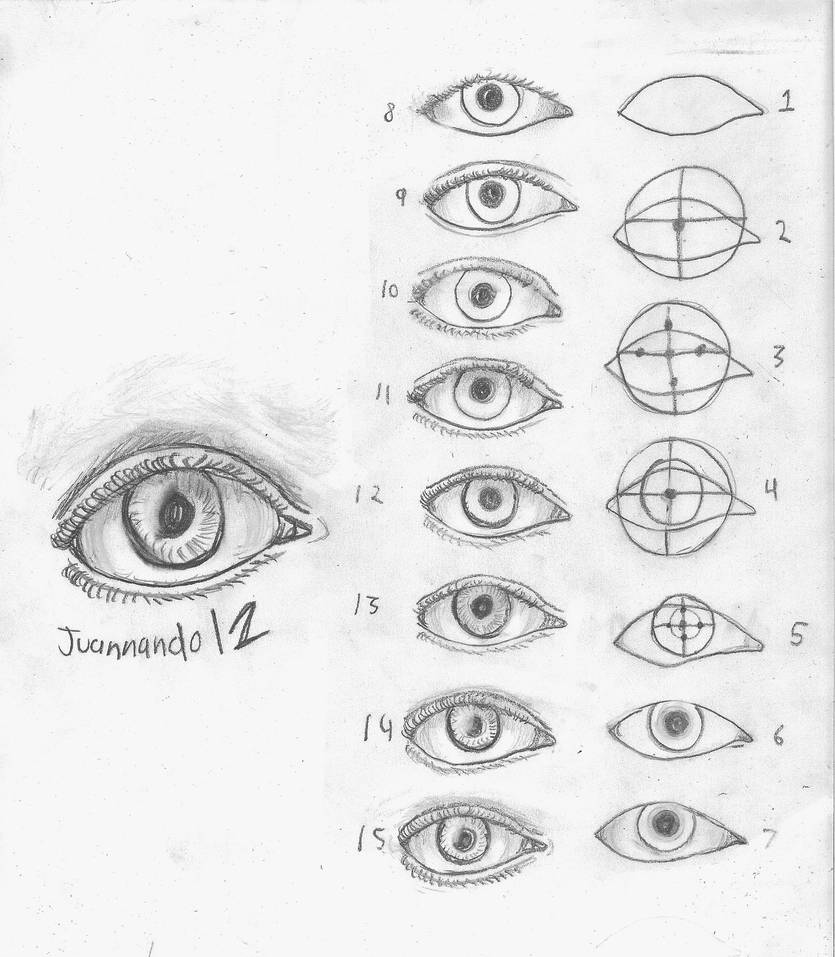 Глаз чертеж. Схема рисования глаз. Схема построения глаза в рисунке. Пропорции глаза для рисования. Анатомия человеческого глаза для рисования.