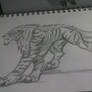 tiger