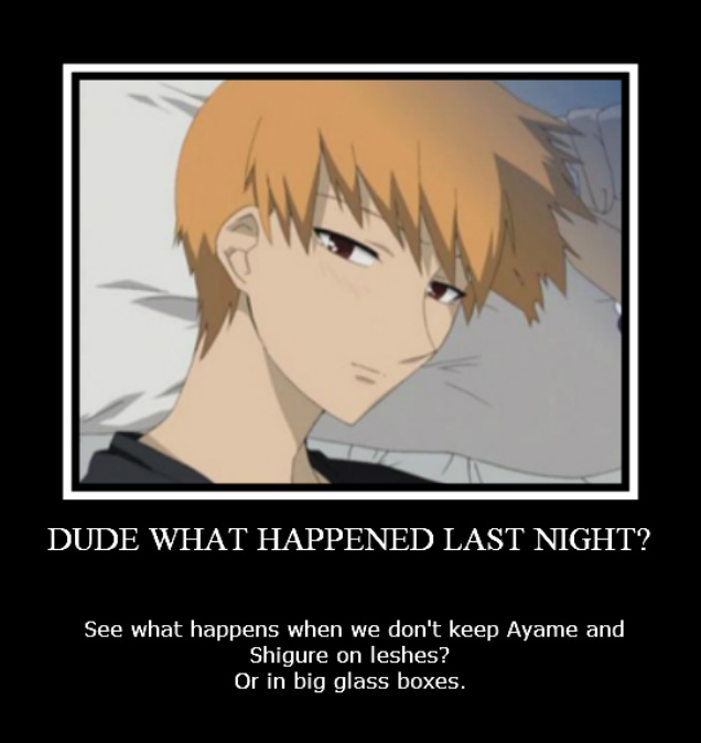 Daww Poor Kyo