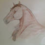 Horse head watercolor pencil