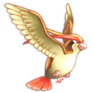 Pidgeot